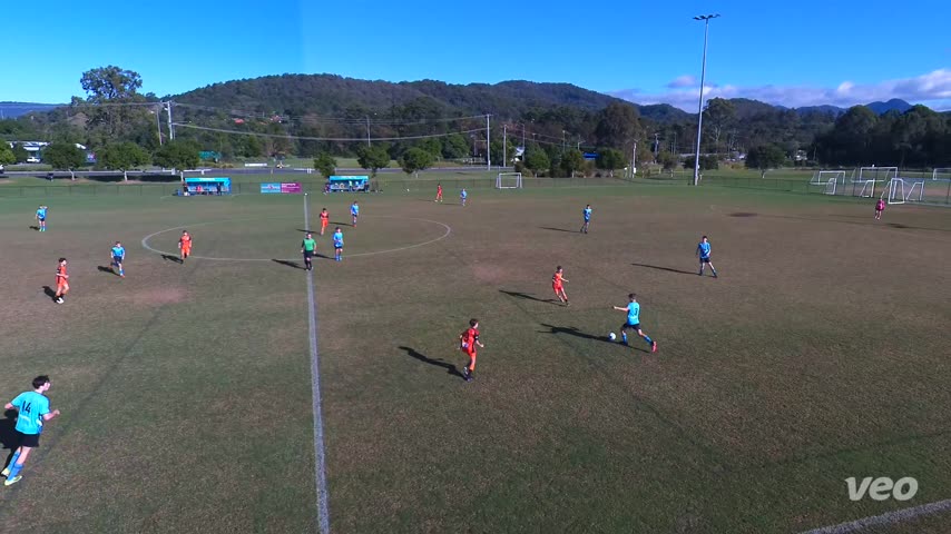 Veo | Player profile